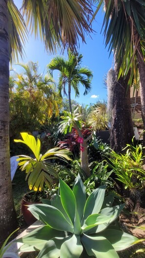 Property grounds - Bungalow Pour 2 Personnes Ti Kaz Paradis (Le Tampon)