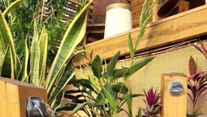 A garden with a wooden planter, various plants, and a stone pathway. - Bungalow Pour 2 Personnes Ti Kaz Paradis (Le Tampon)