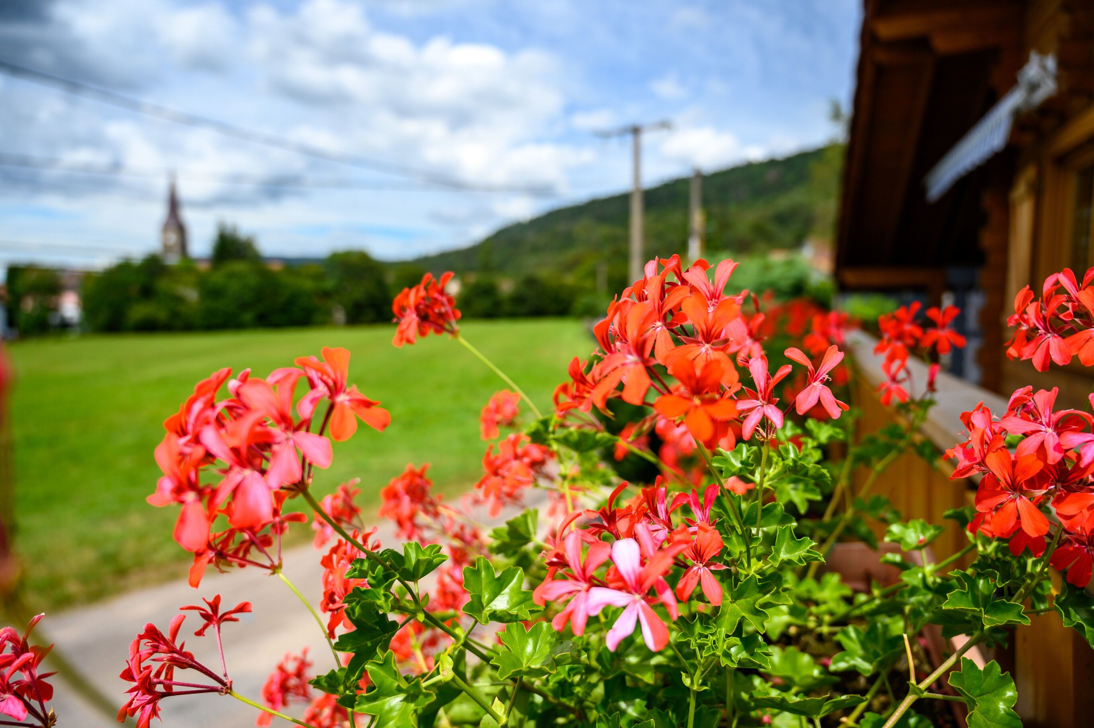 Overnattingsstedets uteområder