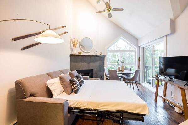 TV, fireplace