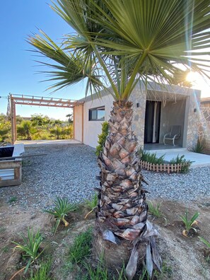 Property grounds - Suite 1 En Finca de Piedra Valle, Downtown (Francisco Zarco)