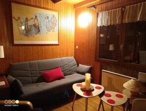 Smart TV, fireplace, DVD player, books - Chalet de Montagne Pierre et Gaby (Saint-Jean-d'Aulps)