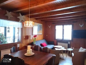 TV connectée, cheminée, lecteur de DVD, livres