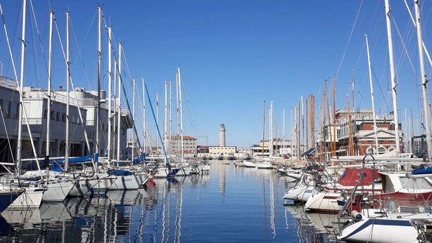 A marina with multiple boats docked, a building with a tower, and calm water reflecting the boats. - Alexander's Nest (Trieste)