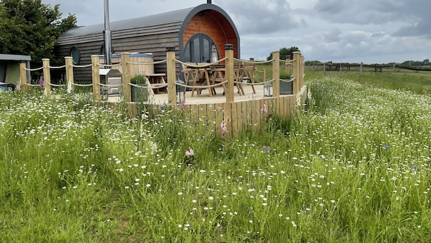 Un chalet rustique doté d’une terrasse en bois et d’une cheminée, entouré d’une clôture en corde et d’un champ de fleurs blanches.