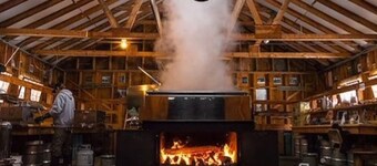 Von Trapp Family Lodge. It's exciting, with lots to do! Great accommodations.