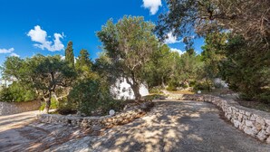 Un sendero de piedra que atraviesa un jardín con árboles y un edificio blanco al fondo.