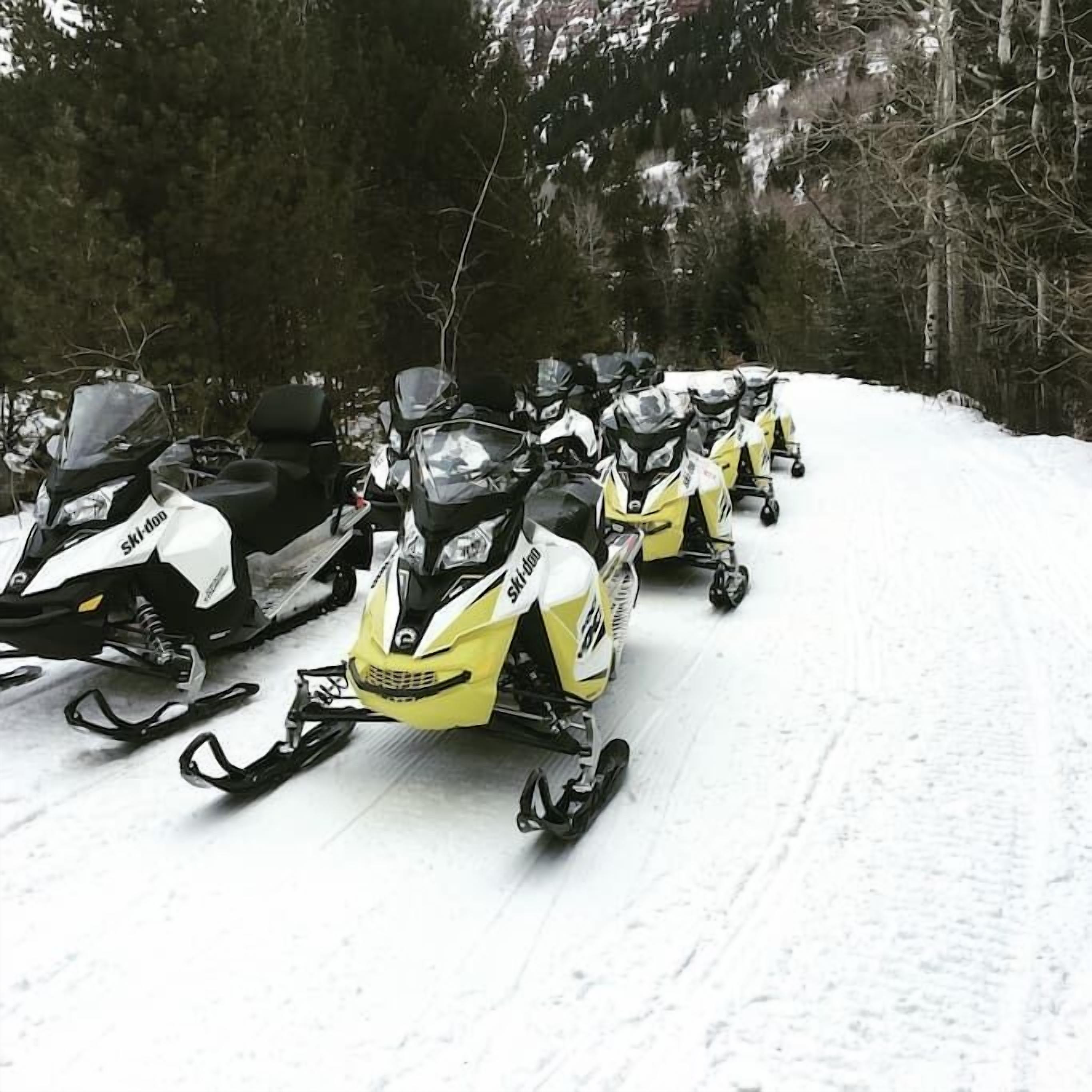 A row of snowmobiles parked on a snowy path surrounded by trees.