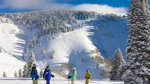 Un paysage de montagne enneigé avec des skieurs.
