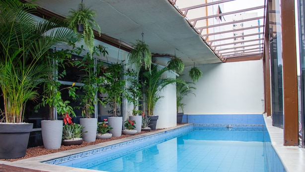 Ein Schwimmbecken mit Fliesenrand, umgeben von Kübelpflanzen und einer Holzterrasse.