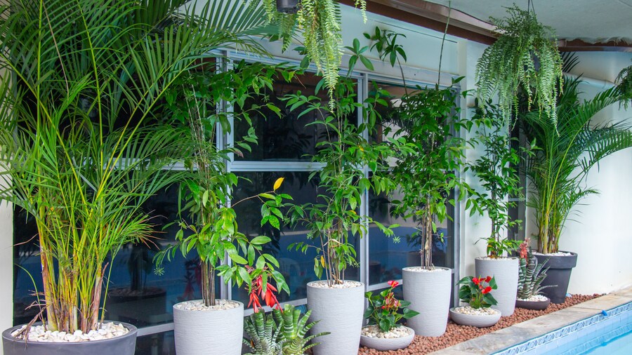 Prestige Manaus Hotel