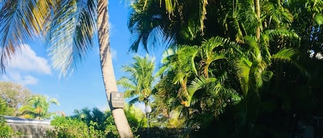 Utomhuspool