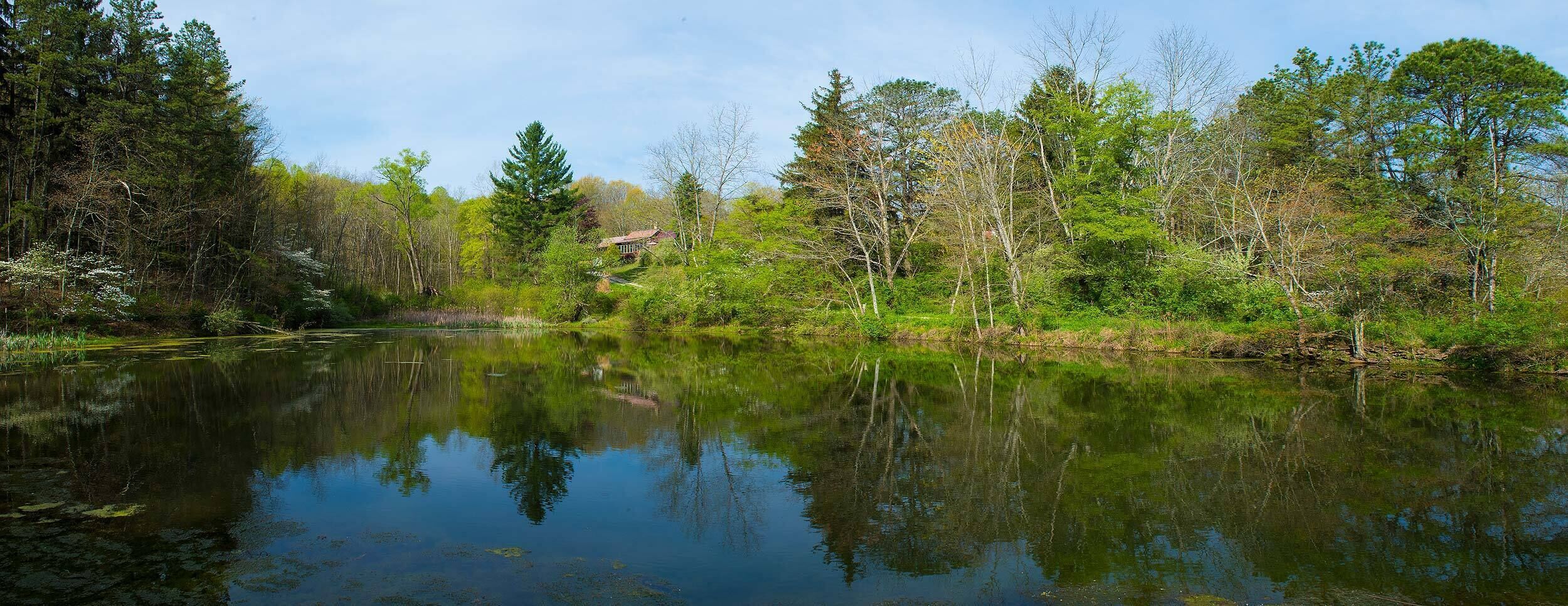 A serene lake surrounded by dense trees and a small house in the background.