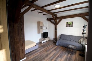 Una camera da letto con soffitto in legno, un letto, una televisione, un divano e un tavolino.