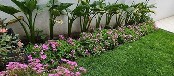 De luxe Suite 201. Next to Malls, Hospitals

