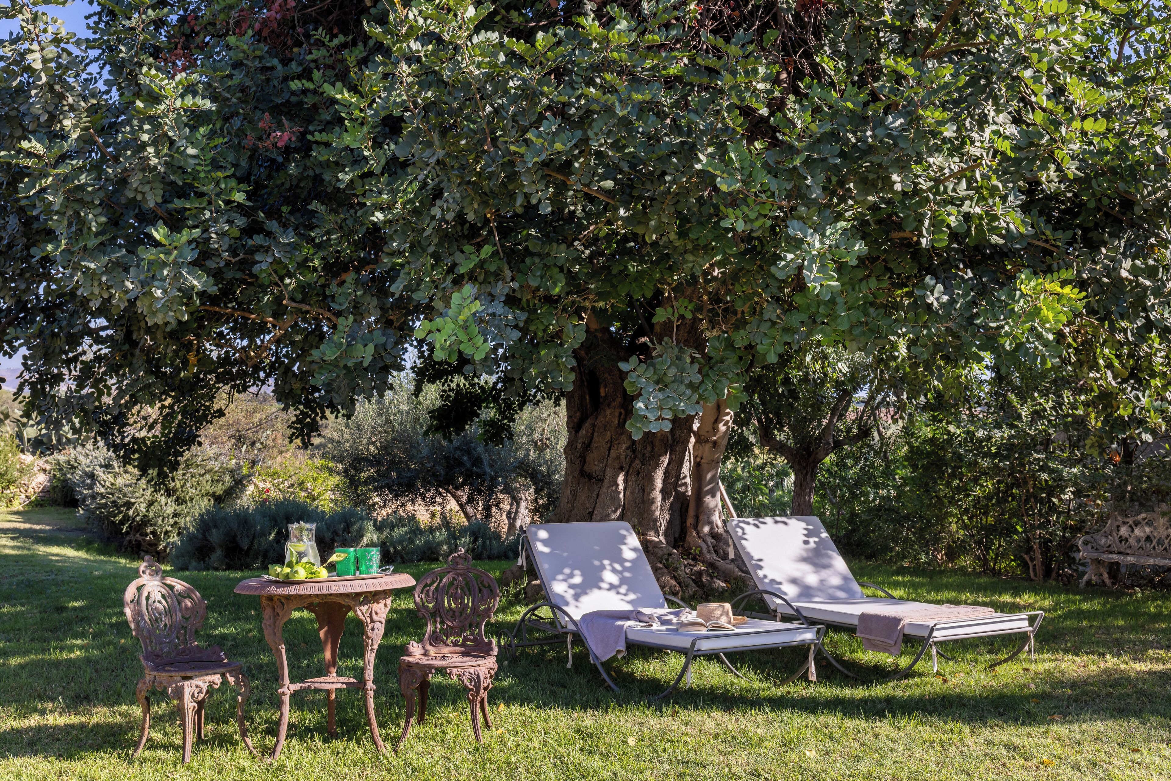 Un jardin avec deux chaises longues, une petite table et une chaise, le tout installé sous un grand arbre.