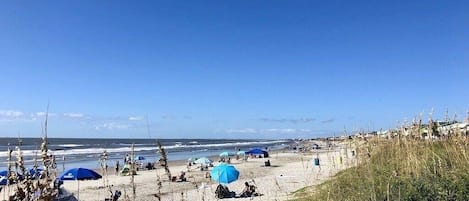 在海灘附近