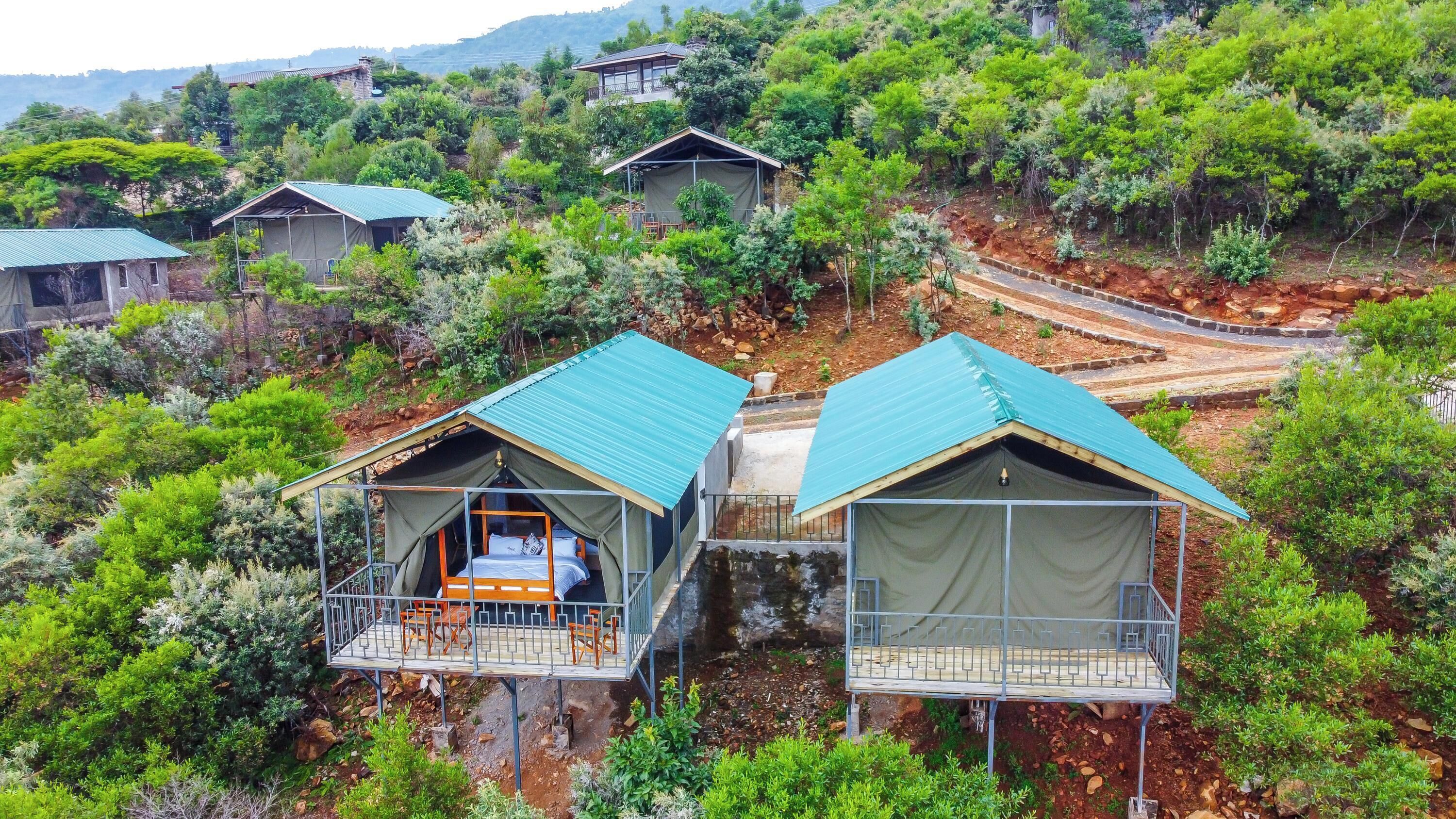 A hillside with several small, elevated cabins with metal roofs, surrounded by dense greenery.