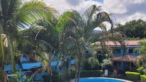 A swimming pool surrounded by lush greenery and a building with a red roof. - Craig's Coco Condo (Liberia)