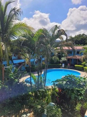 Pool - Craig's Coco Condo (Liberia)