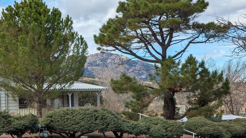 Charming retro home. Minutes from downtown and ERAU. Pet friendly. 