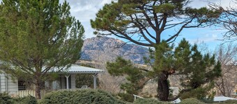 Charming retro home. Minutes from downtown and ERAU. Pet friendly. 