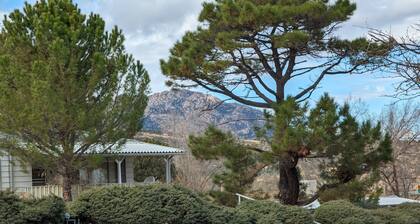 Charming retro home. Minutes from downtown and ERAU. Pet friendly.