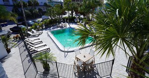 Una piscina en la azotea con sillones de descanso y una mesa, rodeada de palmeras y una zona delimitada por una valla.
