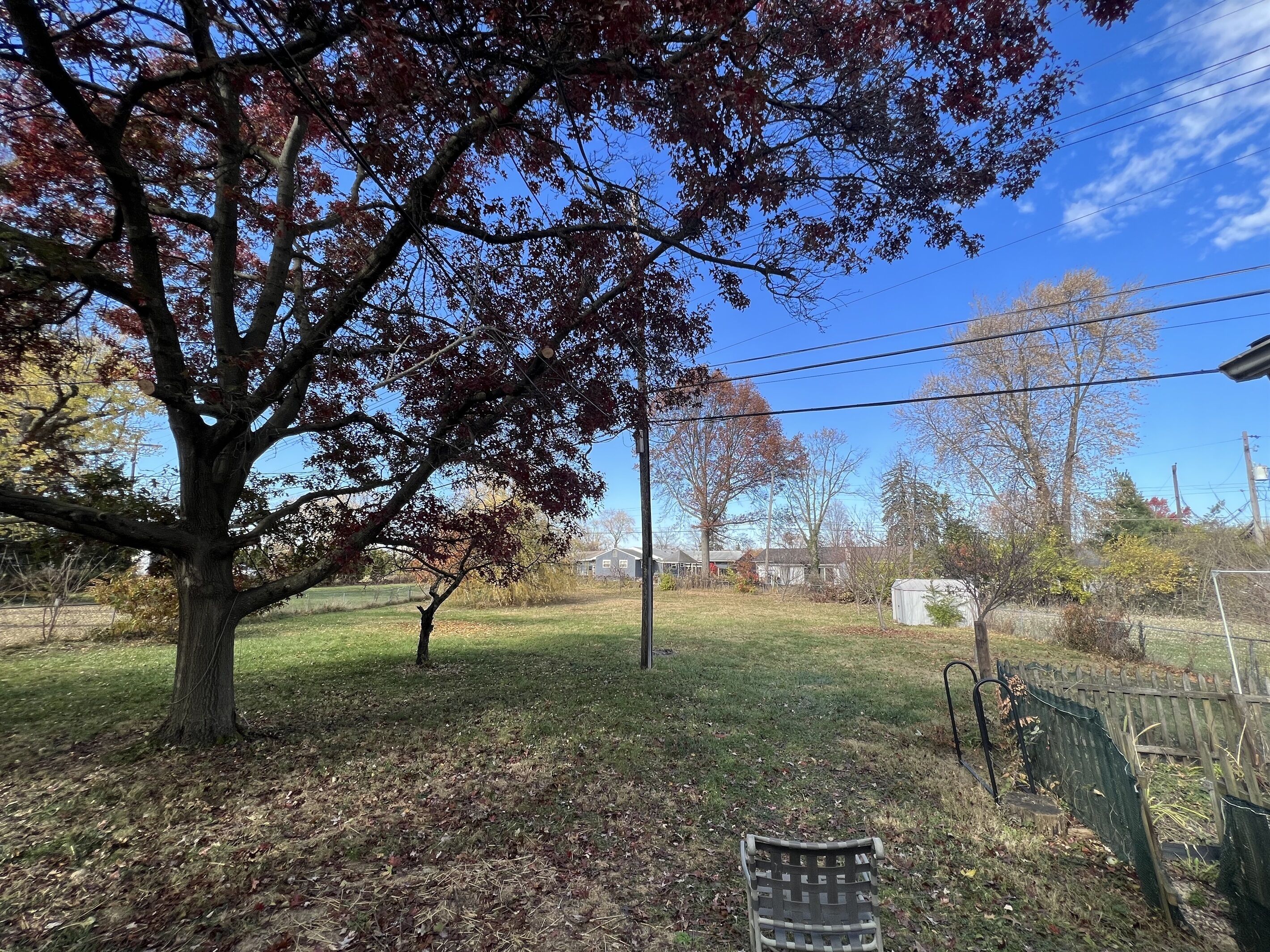 A backyard with a large tree, a bench, and a wooden fence.