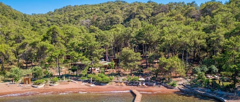 Private beach, free beach shuttle, free beach cabanas, sun loungers