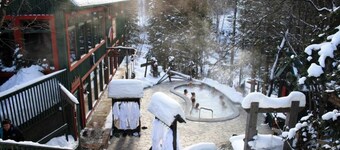 Les Hauts Boisés, Écogite, 6pers