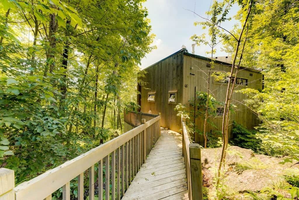 Una baita di legno con una veranda, immersa in una fitta foresta.
