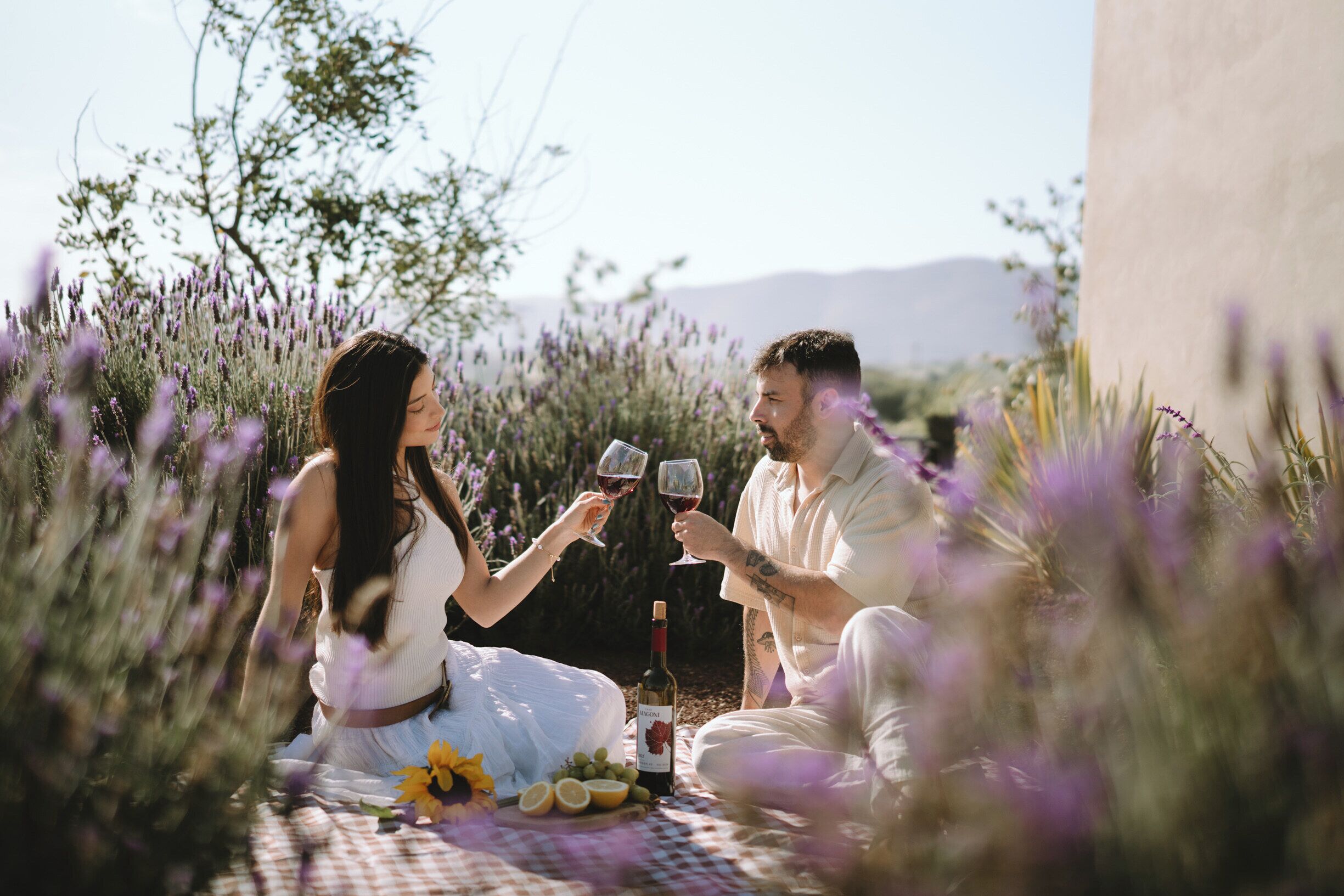 Una pareja sentada sobre una manta a cuadros al aire libre, sosteniendo copas de vino.