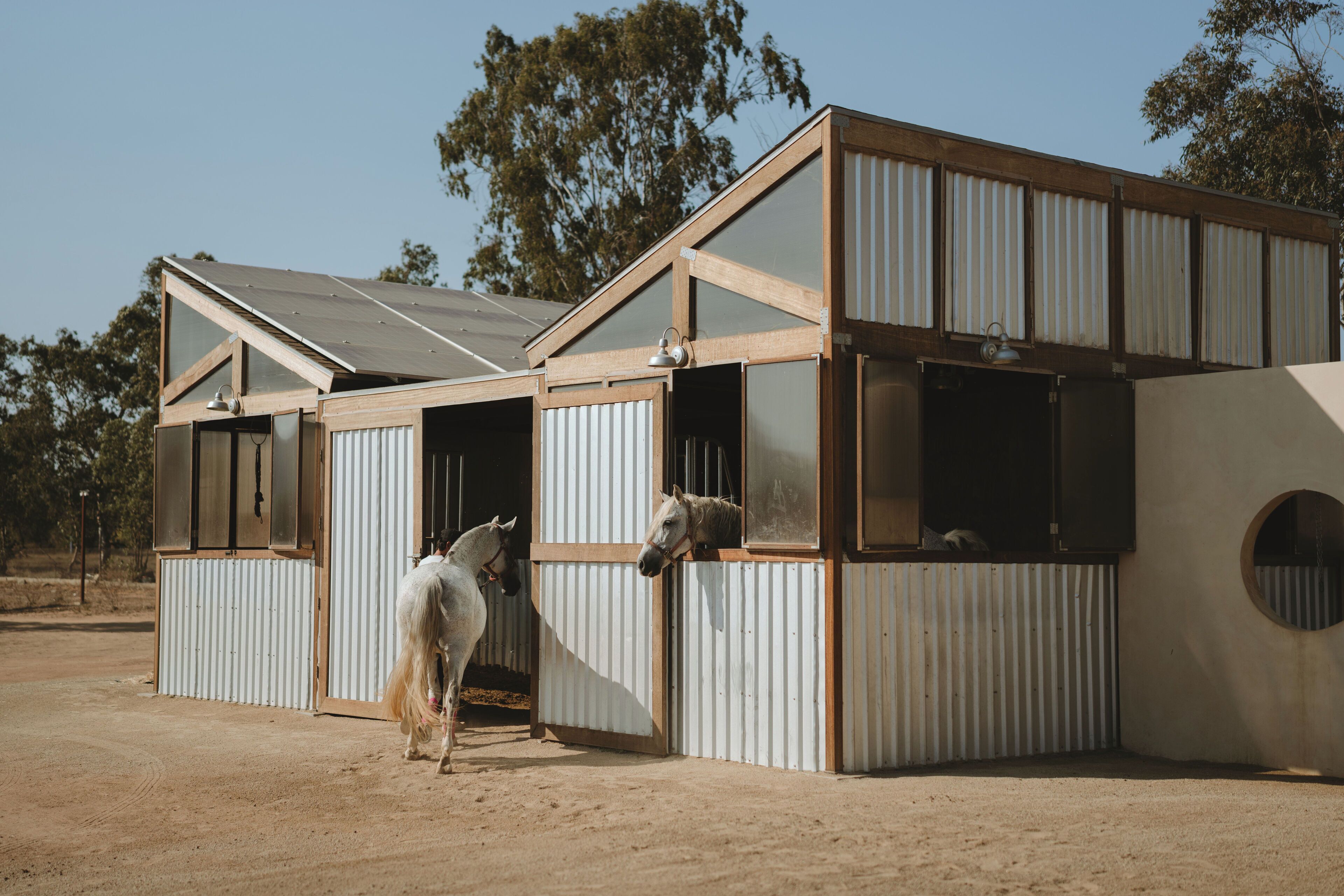 A stable with two horses, featuring corrugated metal walls and a sloped roof.
