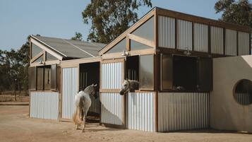 A stable with two horses, featuring corrugated metal walls and a sloped roof.