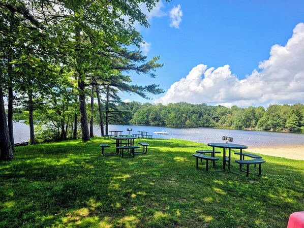A lakeside picnic area with tables and benches, surrounded by trees and a view of the lake.