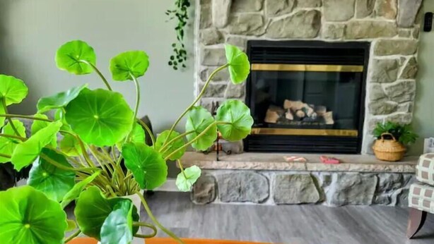 A living room with a stone fireplace, a white vase with green leaves, and a wicker basket. - Freshly updated house with a clean and spacious feel.( 3 bdr 3 bath 9 ppl.) (Long Pond)
