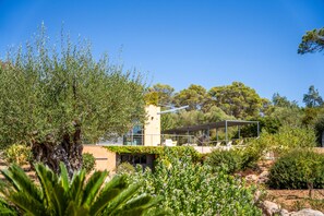 A modern building with a glass facade, surrounded by lush greenery and trees. - Finca with pool Villa Laiar in Mallorca (Sencelles)