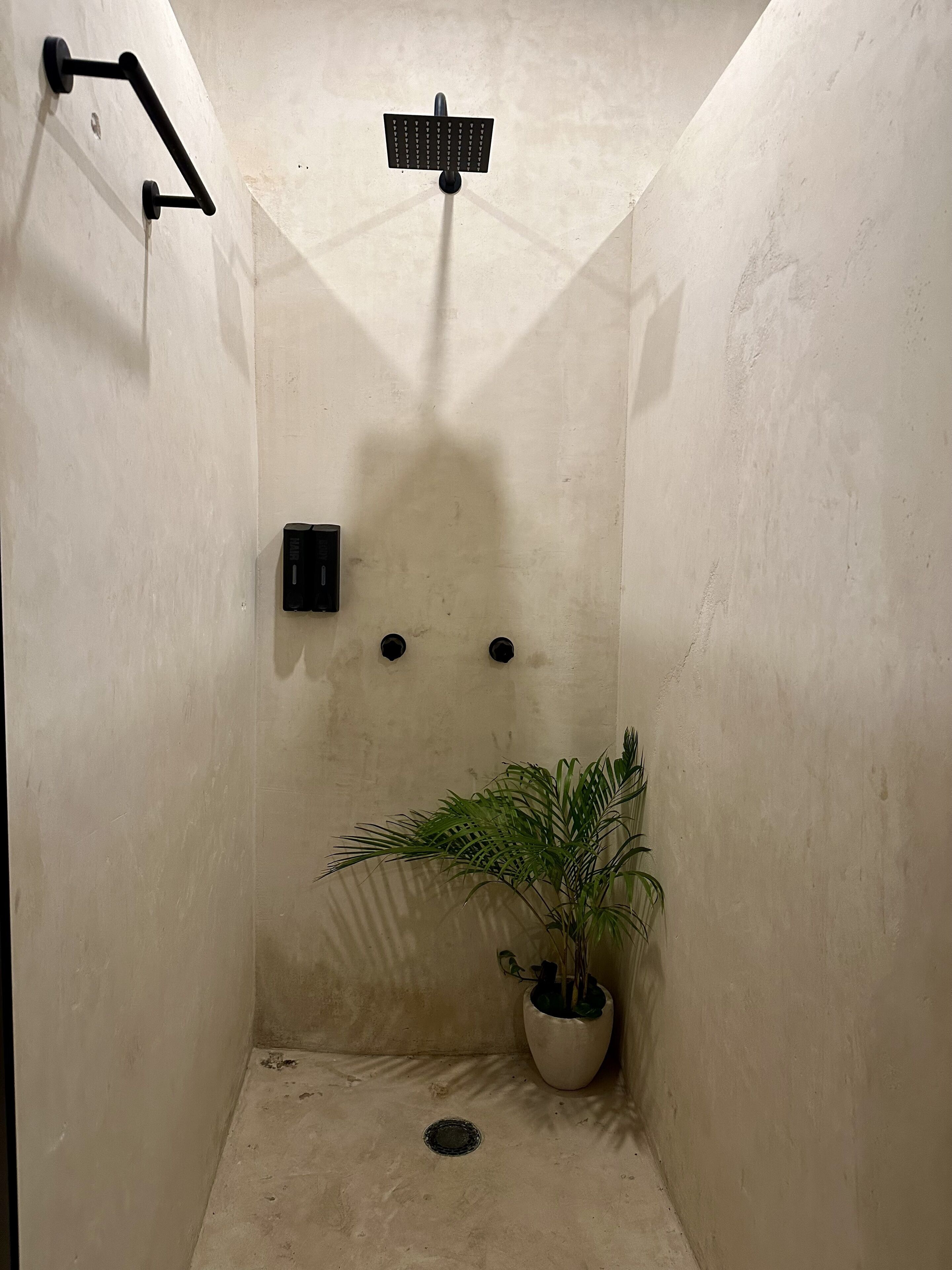 Rainfall showerhead, towels