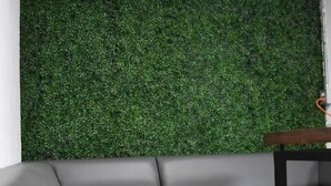 A modern interior with a grey sofa and a green artificial grass wall. - El Suburbio - Morelos Sur (Morelia)