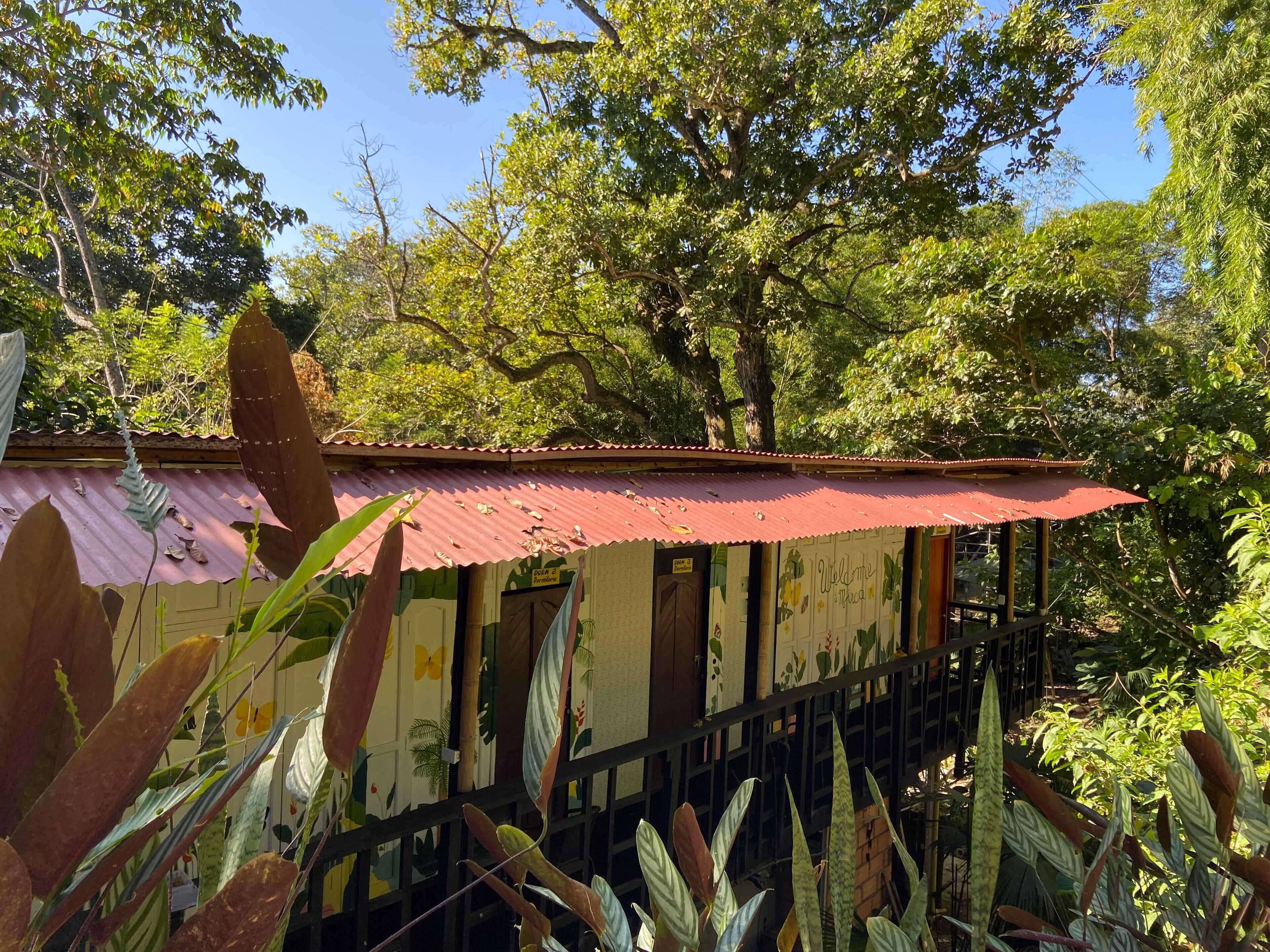Foto - Hostal Las Mariposas Minca