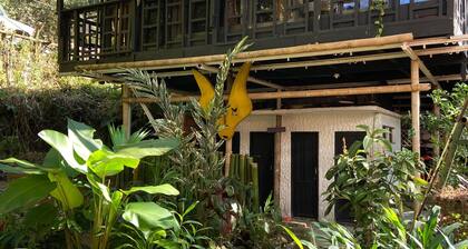 hostal las mariposas minca