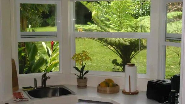 A kitchen with a sink, a potted plant, and a toaster.
