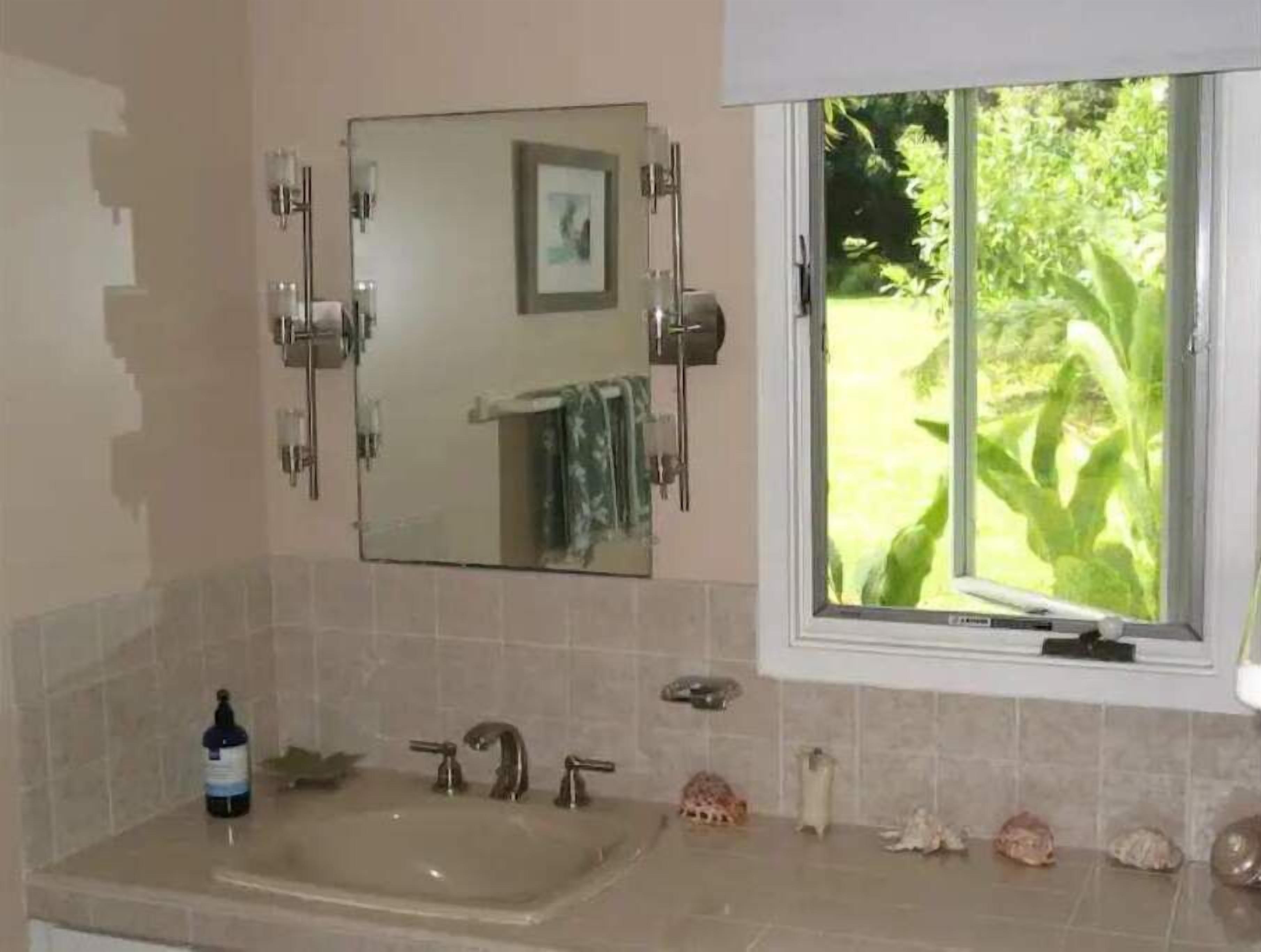 Un bagno con un lavandino capiente, uno specchio e una finestra che si affaccia sul verde.