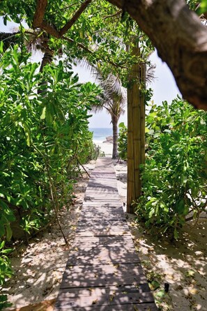Un camí de fusta que condueix a una platja, amb vegetació abundant a ambdós costats.