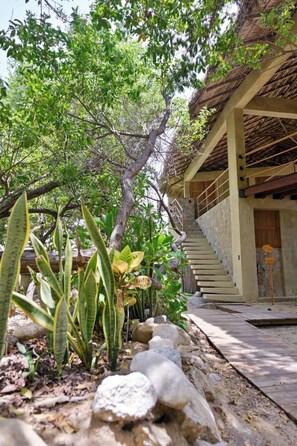 Un bâtiment doté d’un escalier menant à une zone abritée, entouré de verdure et de plantes.