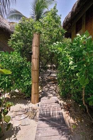 Un sendero de madera conduce a un edificio con techo de paja rodeado de abundante vegetación.
