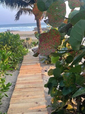 Un sendero de madera que conduce a una playa con palmeras y follaje denso.