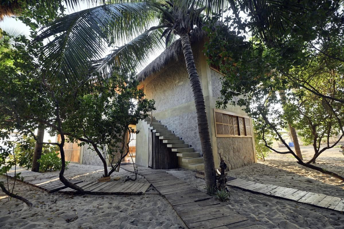A beachside building with a staircase leading to a door, surrounded by palm trees and wooden walkways.