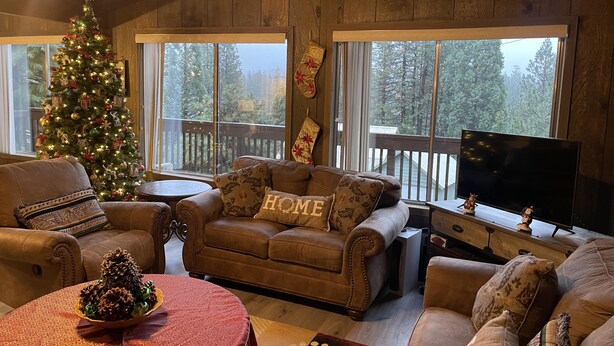 A cozy living room with a Christmas tree, leather couches, a TV, and a large window with a view of trees.